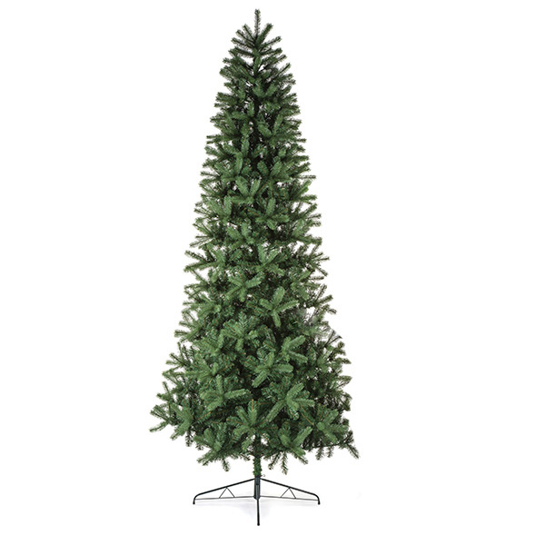 Mountain Spruce Display Tree - 3.6m (12ft)