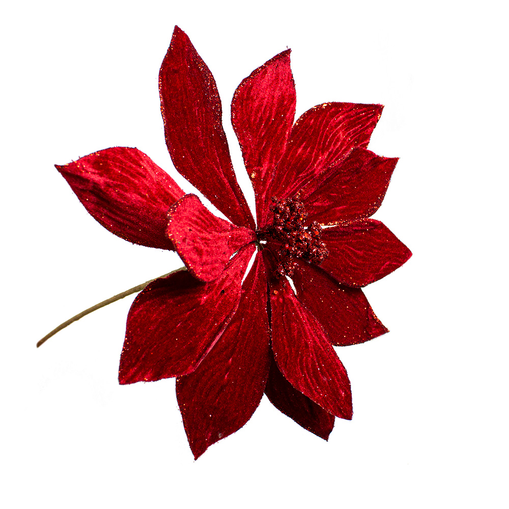 Red Glitter Tipped Poinsettia Spray - 48cm