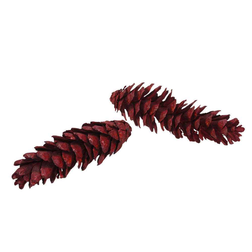 Pack Of 25 Red Strobus Pine Cones
