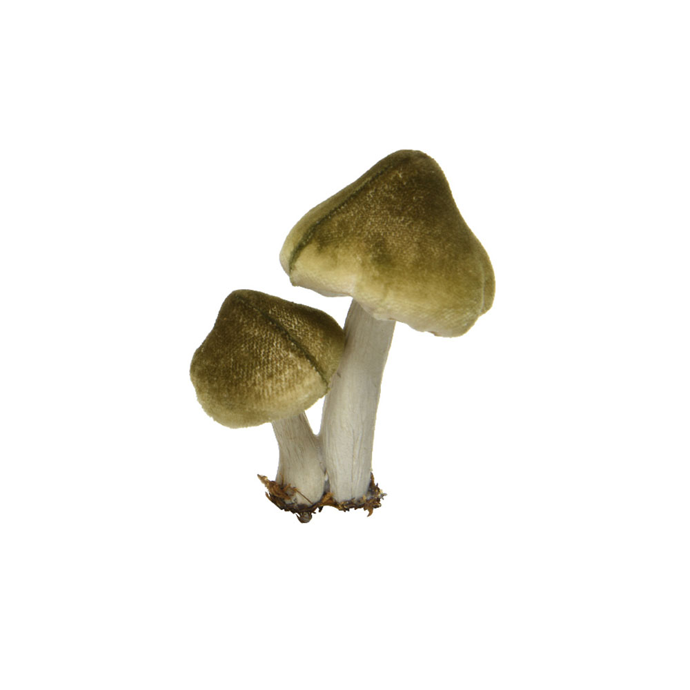 Green Mushroom on Clip - 9cm