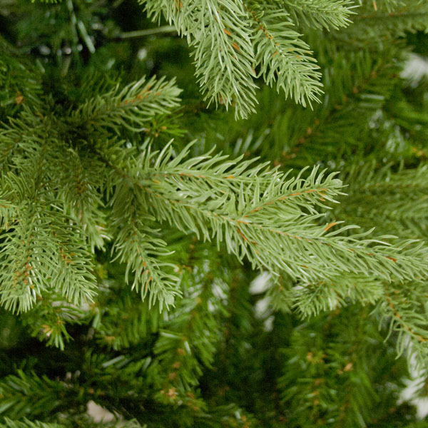 Green Grove Mountain Pine Artificial Christmas Tree - 1.8m/6ft