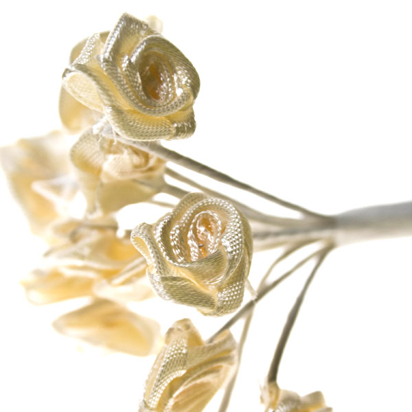 Ivory Rose Flower Bundle