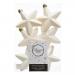 Pack Of 6 x 75mm Mixed Finish Shatterproof Star Hanging Decorations - Ivory