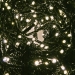 Konstsmide 12m Length Of 180 Soft White Multi Function Outdoor Micro LED Fairy Lights. Black Cable.