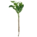 Mistletoe Hanger - 25cm