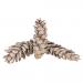 Pack Of 50 White Wash Strobus Pine Cones